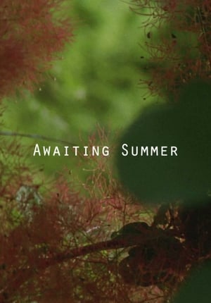 Awaiting-Summer-2015
