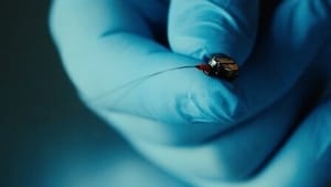 8WOaa9nup5N4575Nf5fOM5JIMmA